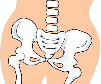 肩こりにも骨盤矯正が効果的な理由とは？